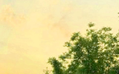 ����ů���簲�̾�R��85�侫�x
