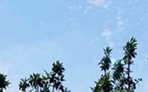 �簲ů�Ķ̾䡾���A15ƪ��