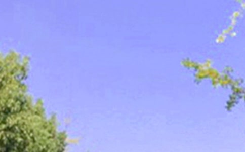 �P(gu��n)�ڄ�(l��)־�簲���Z(y��)��ȫ110�侫�x