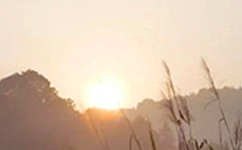 ����ָ���e�˵��簲���Z