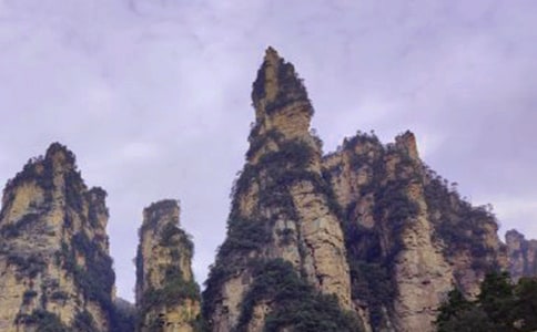 ���ҽ��(m��ng)��֮�ó�һ��������