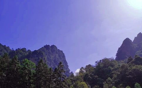 �Ώ��ҽ��и����ģ�ͨ��30ƪ��