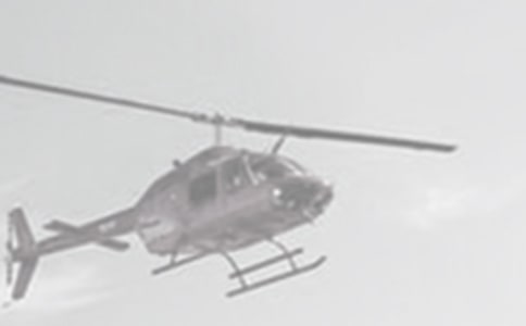 ֱ���w�C(j��)
