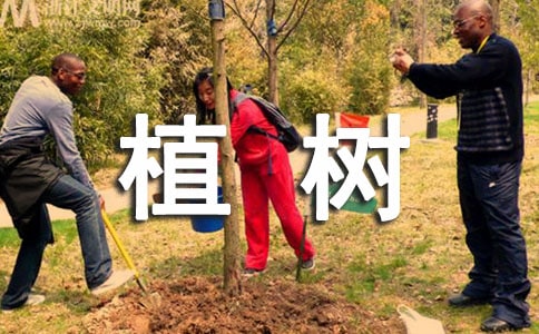 ���꼉��ֲ�䃞(y��u)�����ģ�ͨ��17ƪ��