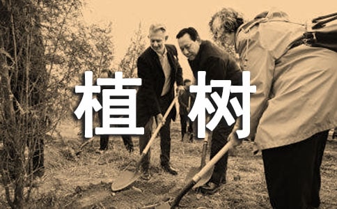 ���õ�ֲ����꼉����(��(y��u)��)