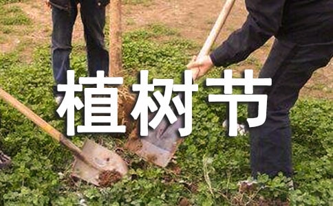 �׃��@ֲ�九(ji��)��ӿ��Y(ji��)���]��