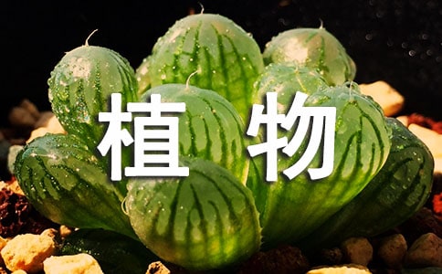 ֲ��ĬF(xi��n)��Ԋ