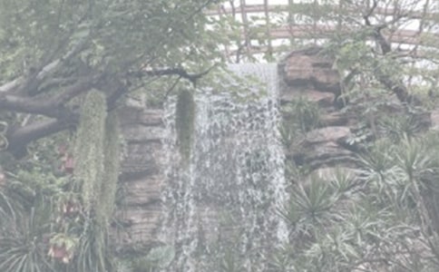 ��ֲ��@�p÷