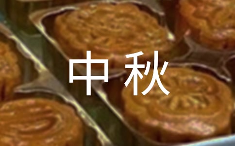 �c���c����������_�~