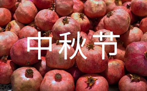 ���﹝(ji��)�F(xi��n)��Ԋ�輯�\(15ƪ)
