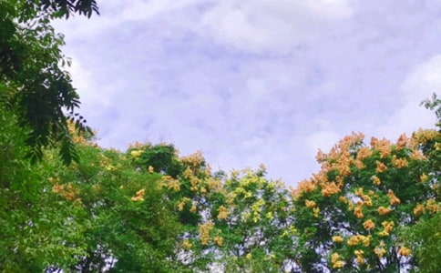 �P(gu��n)������ľ���
