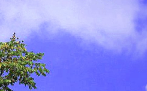 һ��˽�˵����������(y��u)�㔢������700��