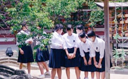 ����Ʒ�����ЌW(xu��)���u(p��ng)�Z(y��)