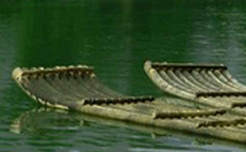 �������ģ����x41ƪ��