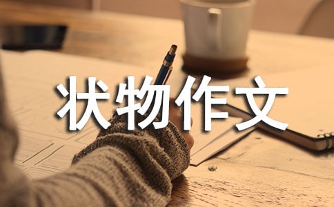 �y�Ә�С�W(xu��)���꼉(j��)��������