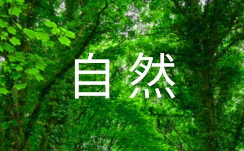 �P(gu��n)�ڴ���Ȼ���V�Z
