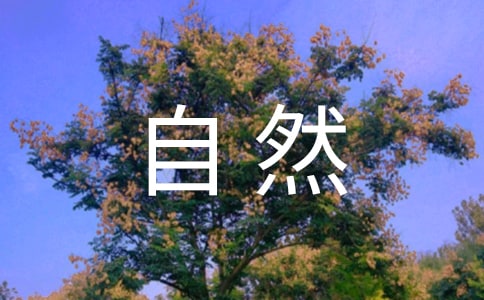 �P�ڴ���Ȼ��������