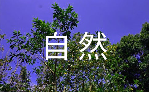 �\Մ�����ĵ���������Ȼ��������