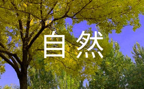 ���P(gu��n)����Ȼ������