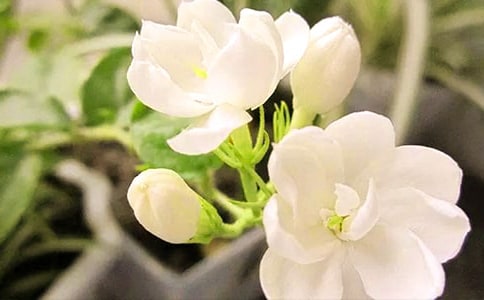 �������^��ͯԒ(hu��)����