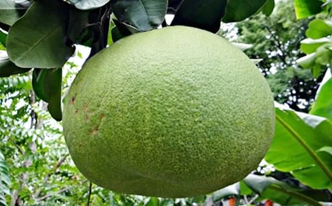 ���꼉�������ąR��8ƪ