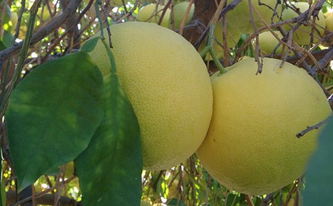 �i�������ӵ��i�Z