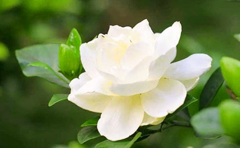�茑�d�ӻ�����500��