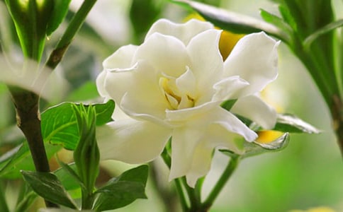 ���d�ӻ��_����(j��ng)���_�~