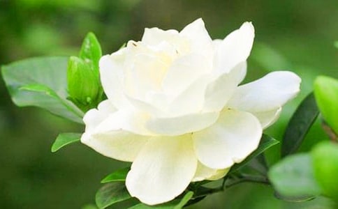 �茑�d�ӻ��ĳ��Z