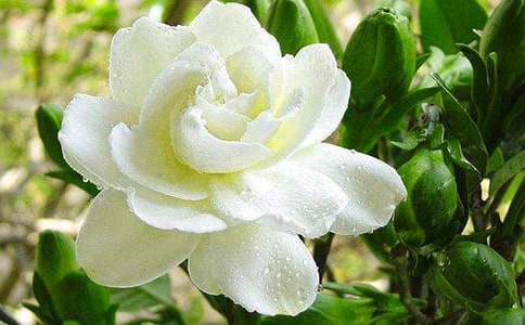 �d�ӻ���Ո�㲻Ҫ�_