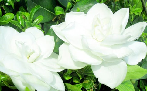 �d�ӻ��_