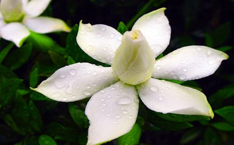 �d�ӻ��_�ļ���(ji��)