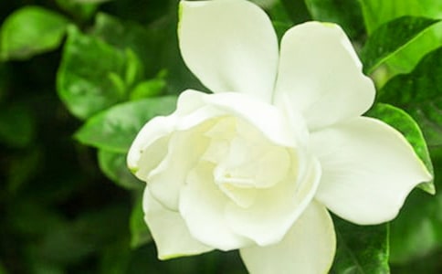 �d�ӻ��_���ģ�ͨ��36ƪ��
