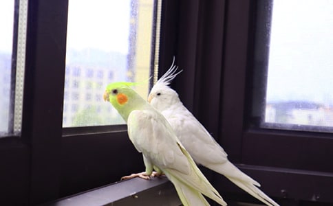 �W�^����
