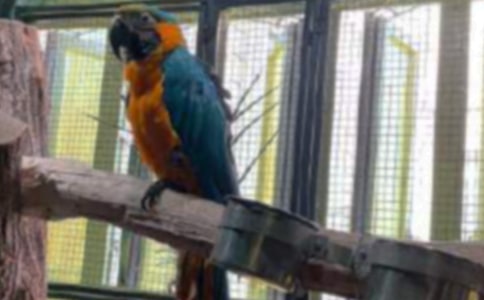 �Һ������ҵ�С�W�^