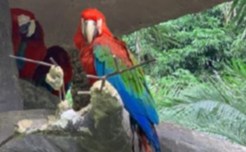 ��Ƥ�W�^���꼉(j��)��������