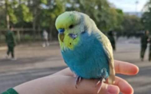 �Ҽҵ��W�^