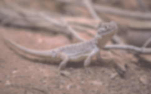 С�W(xu��)���������