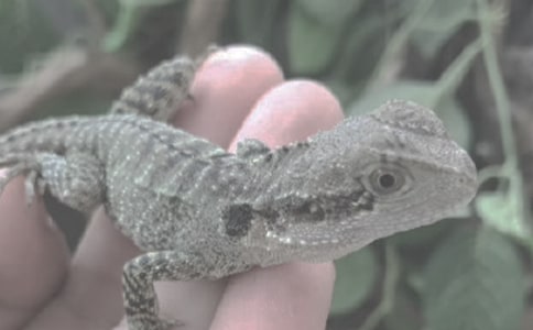 С�������꼉����