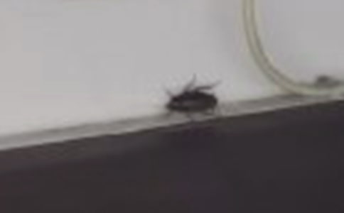 ��������댦(du��)���f(shu��)