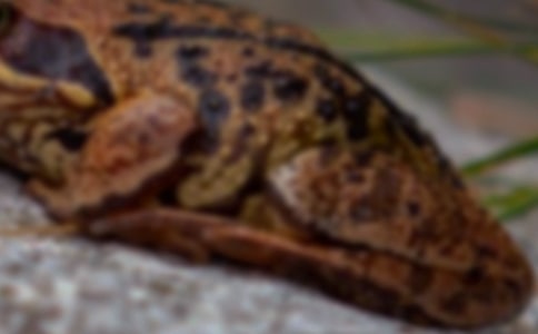 �ܺ������ʲô�քe��