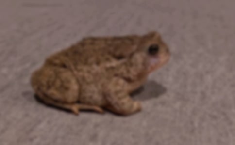 �P(gu��n)����ܵ���ȤЪ���Z(y��)